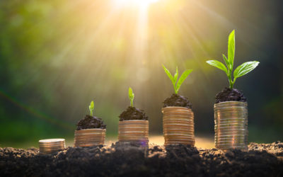 5 Best-Value Print Products to Increase Your Sales