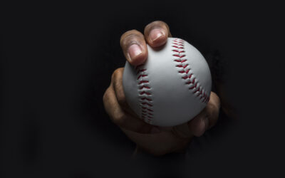 Tweaking Your Business Plan After the Year of the Curveball